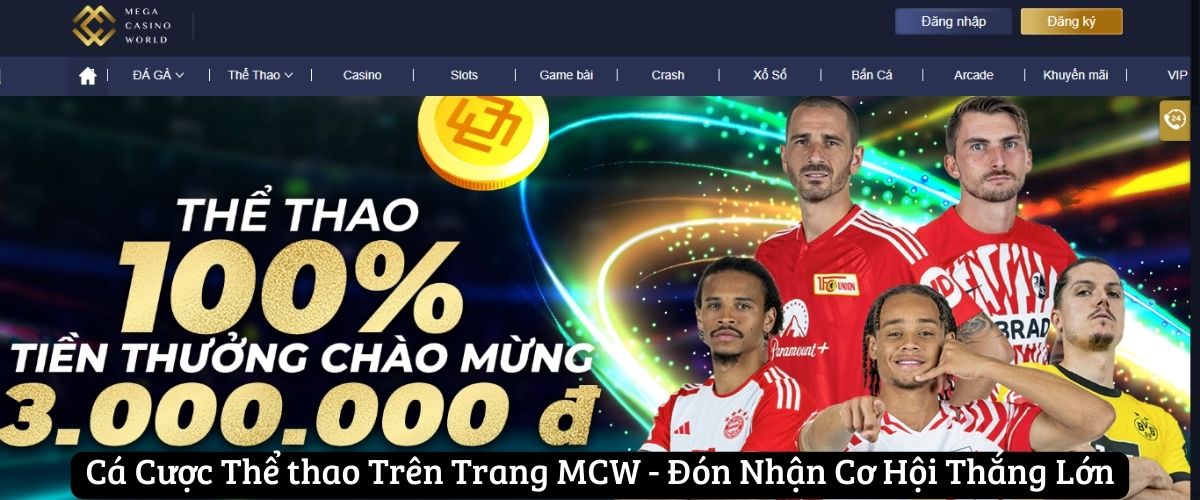Cá cược thể thao MCW là gì?
