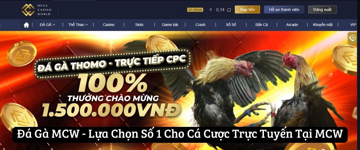 Đôi nét về đá gà MCW