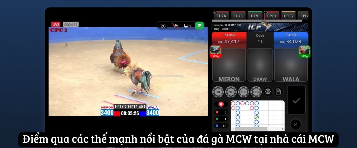 Điểm qua các thế mạnh nổi bật của đá gà MCW tại nhà cái MCW