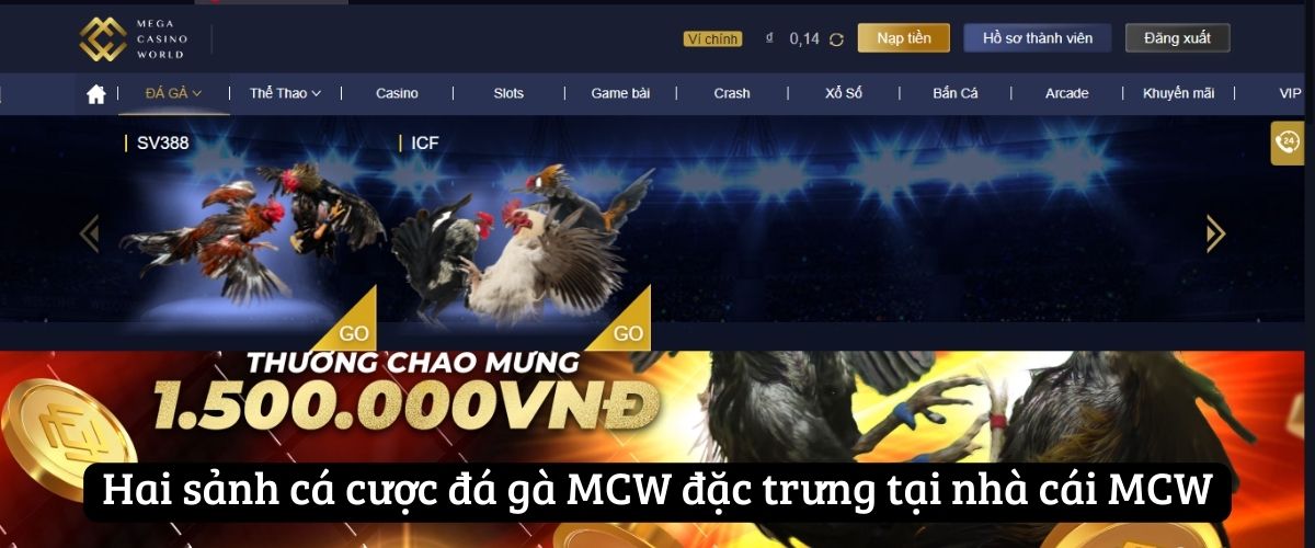 Hai sảnh cá cược đá gà MCW đặc trưng tại nhà cái MCW