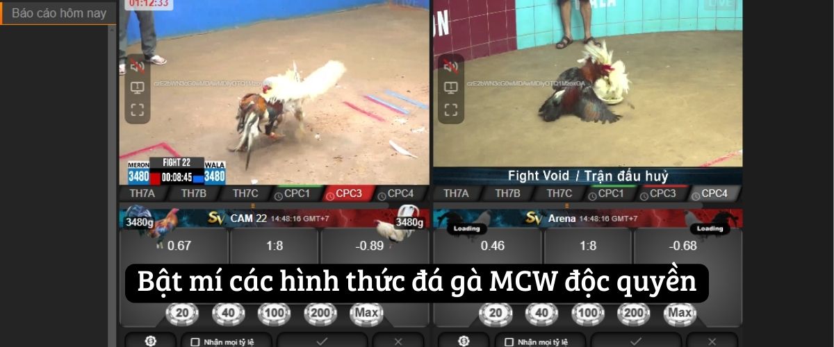 Bật mí các hình thức đá gà MCW độc quyền