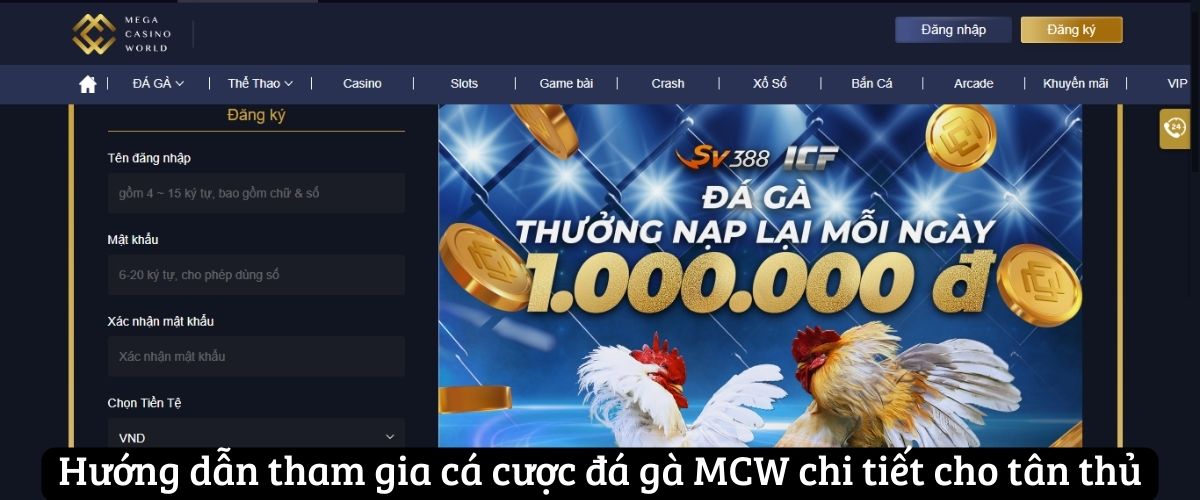 Hướng dẫn tham gia cá cược đá gà MCW chi tiết cho tân thủ
