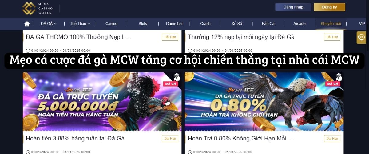 Mẹo cá cược đá gà MCW tăng cơ hội chiến thắng tại nhà cái MCW