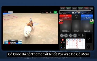 Đá Gà ICF – Sảnh Chơi An Toàn Và Uy Tín Tại MCW