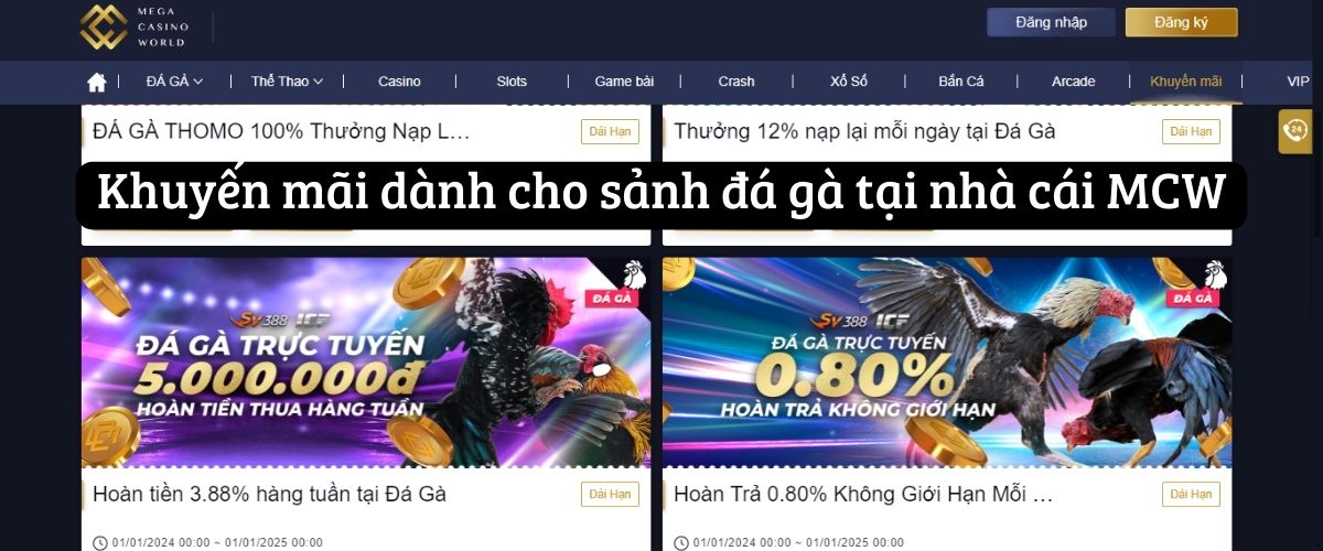 Khuyến mãi dành cho sảnh đá gà tại nhà cái MCW