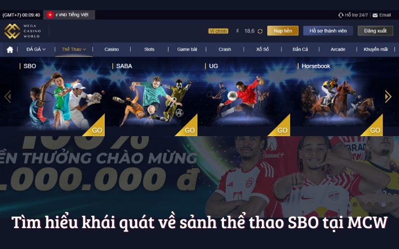 Thể Thao SBO – Trải Nghiệm Cá Độ Thể Thao Đỉnh Cao Tại MCW