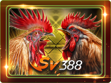 Đá Gà SV388